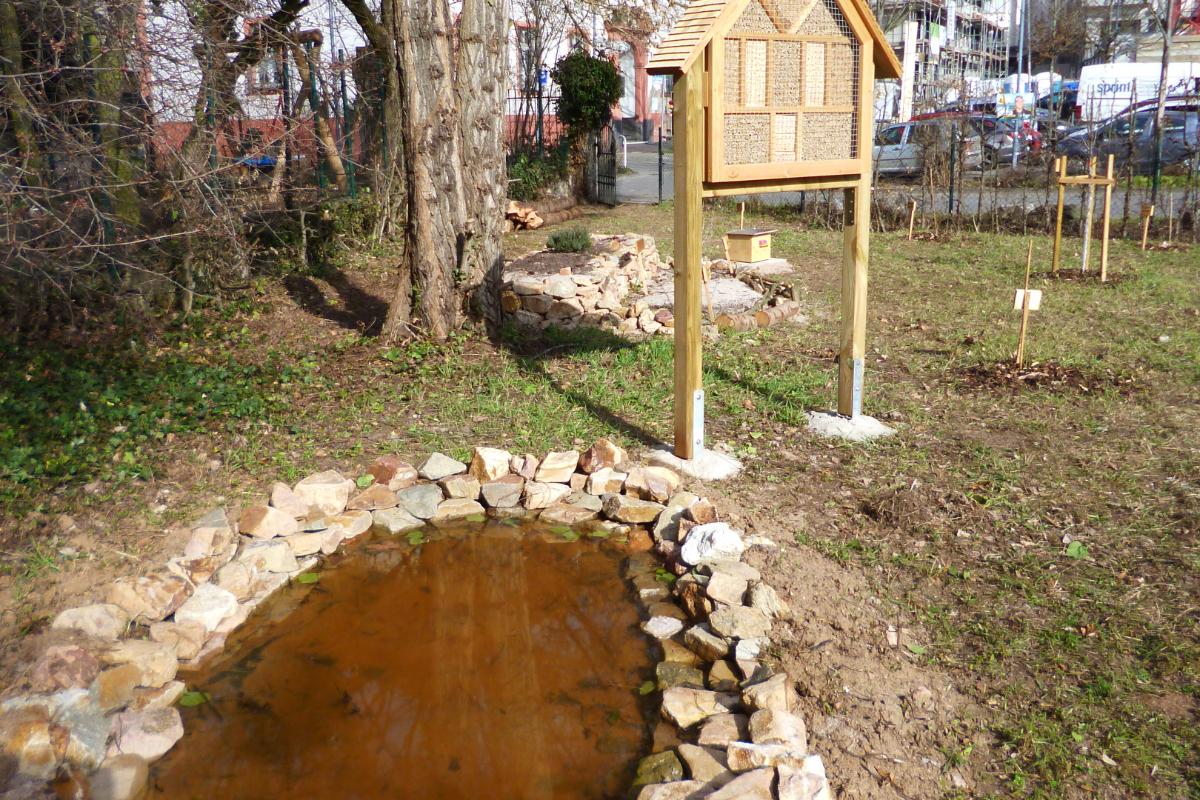 Teich und Insektenhotel im Kirchgarten