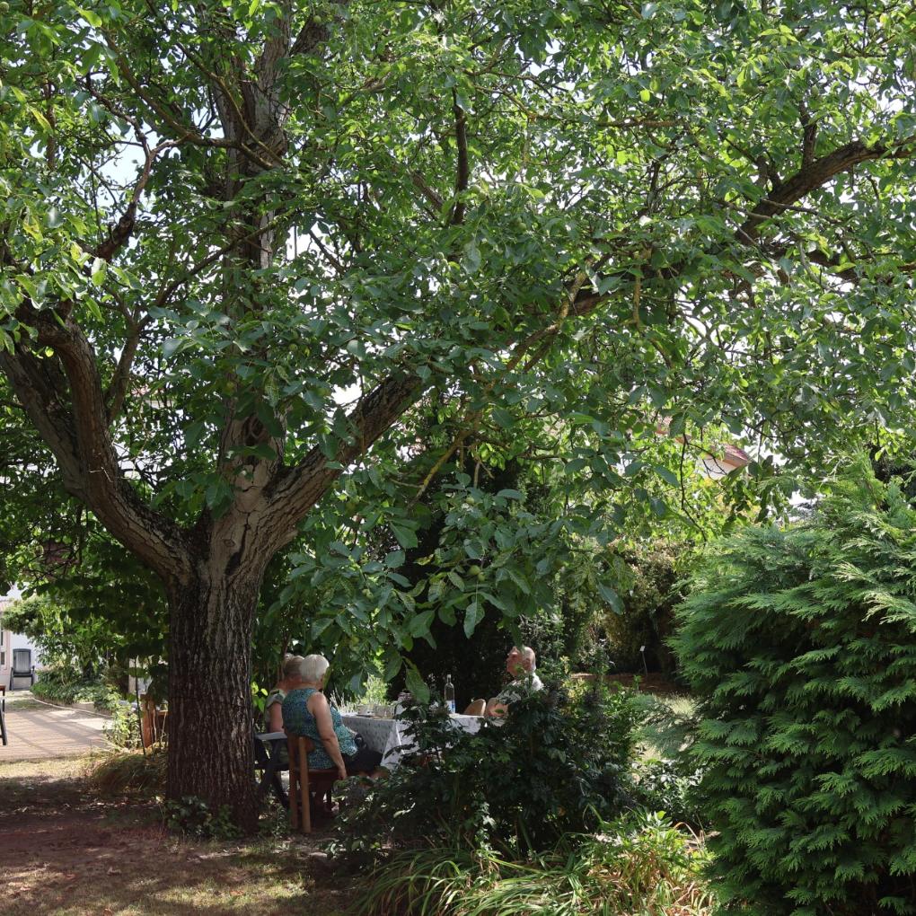 Projekt schöner Pfarrgarten in Wattenheim