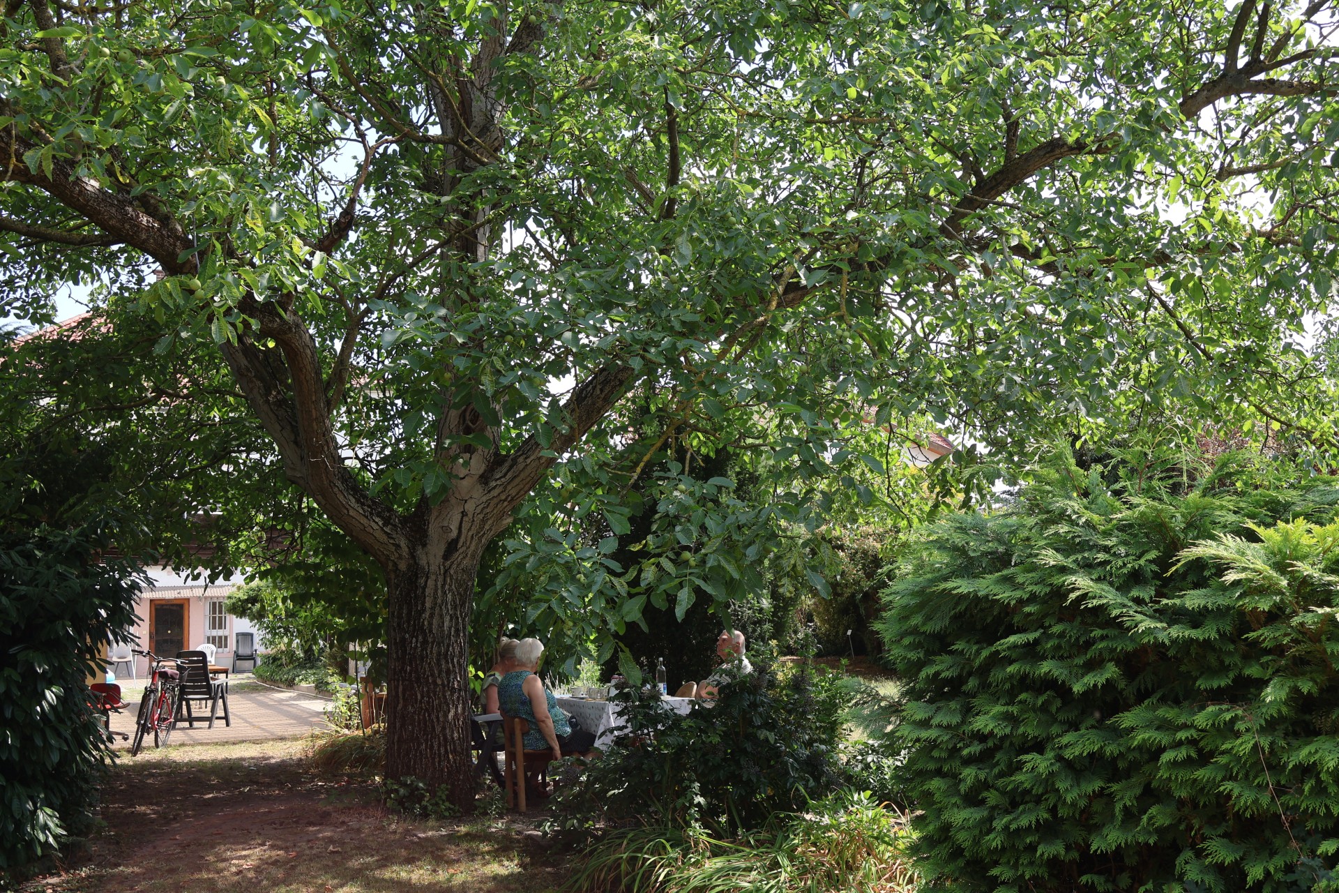 Projekt schöner Pfarrgarten in Wattenheim