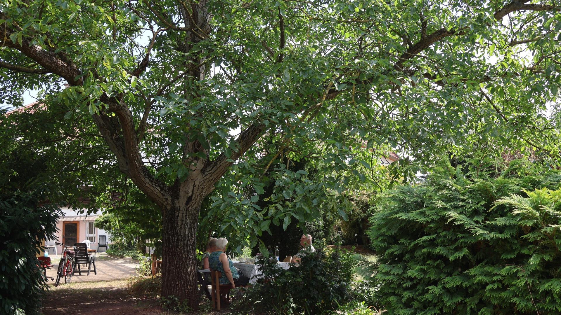 Projekt schöner Pfarrgarten in Wattenheim