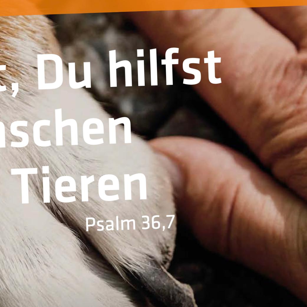 schoepfungstag2025