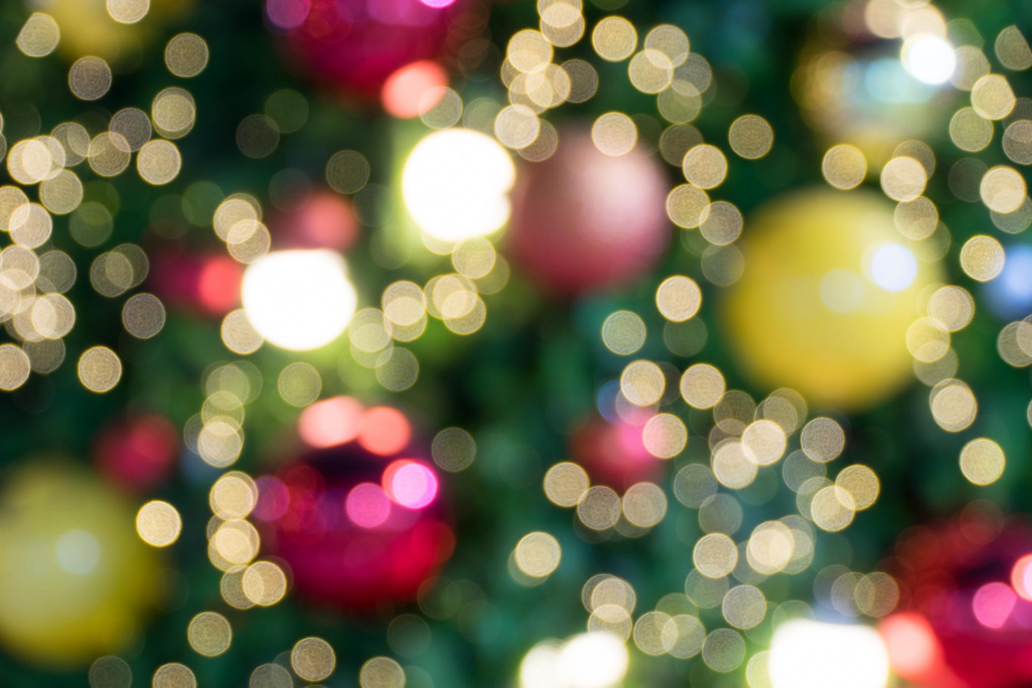 Krippe im Mainzer Dom