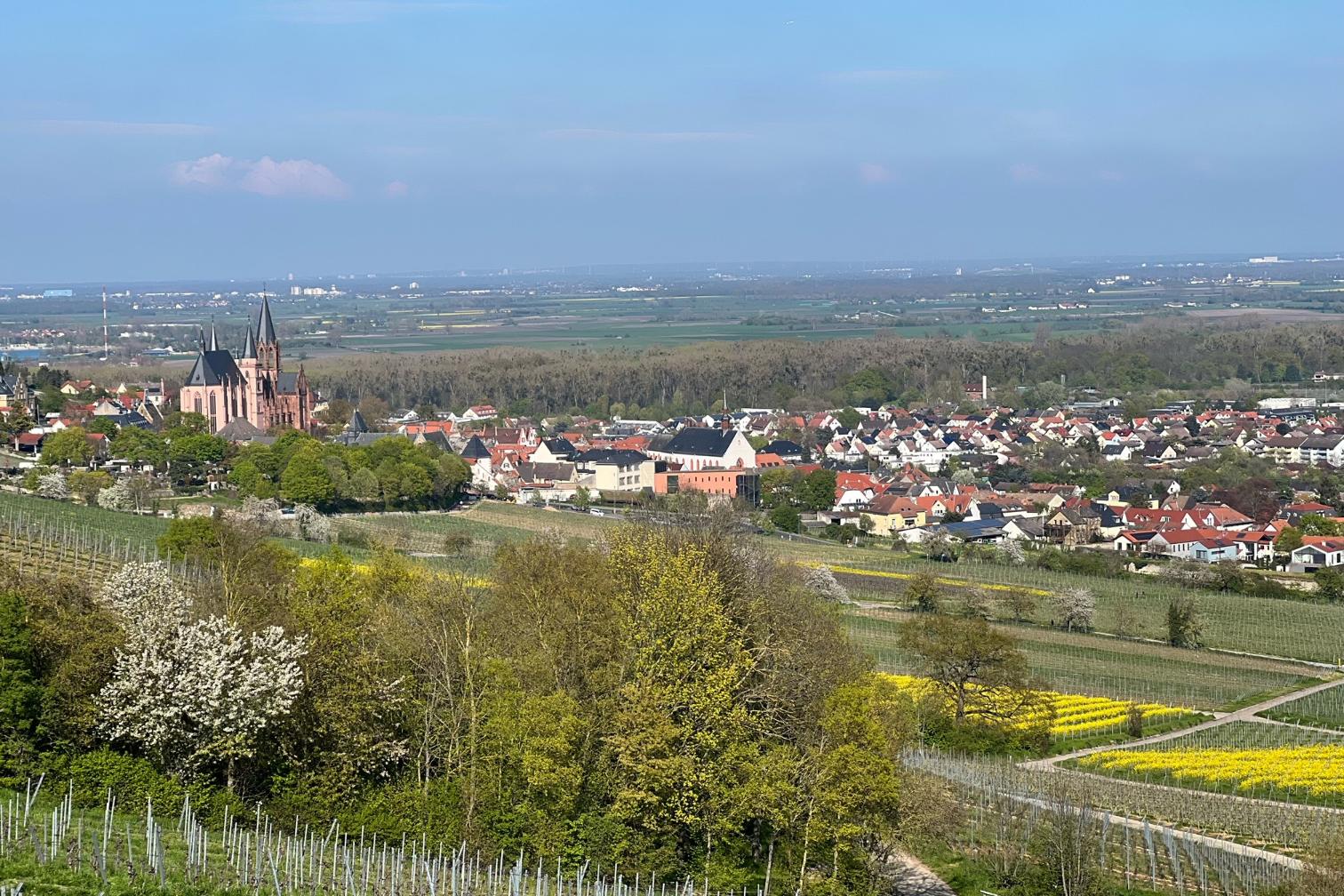 Oppenheim (c) Bistum Mainz / Lieven