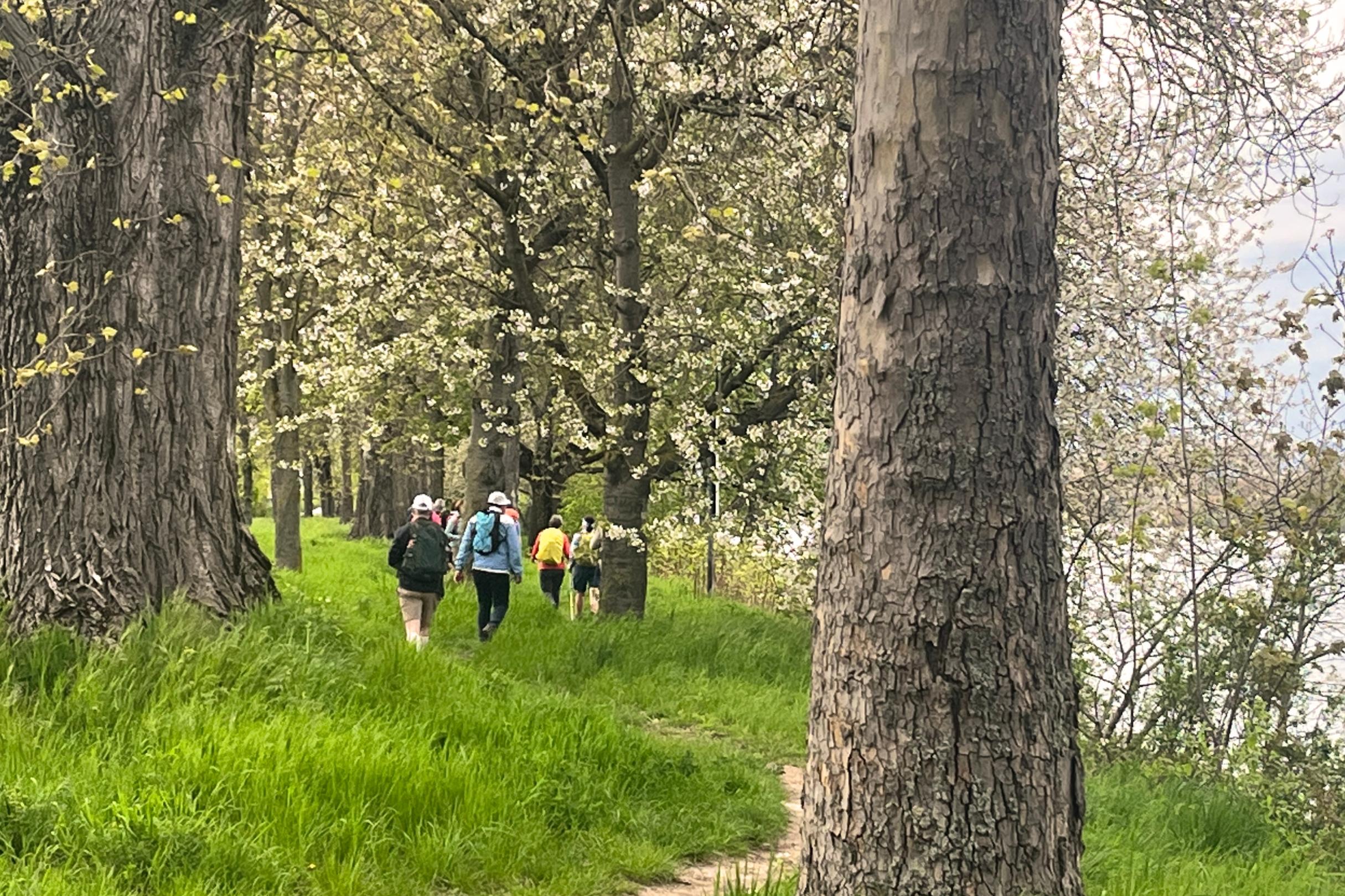 Auf dem Martinusweg von Bodenheim nach Mainz