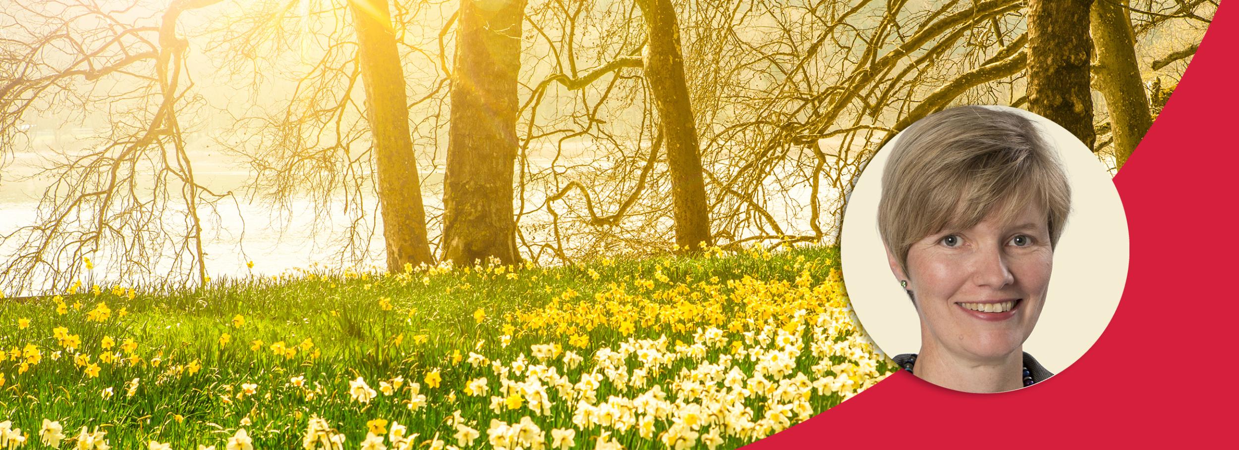 Am Ende siegt das Gute