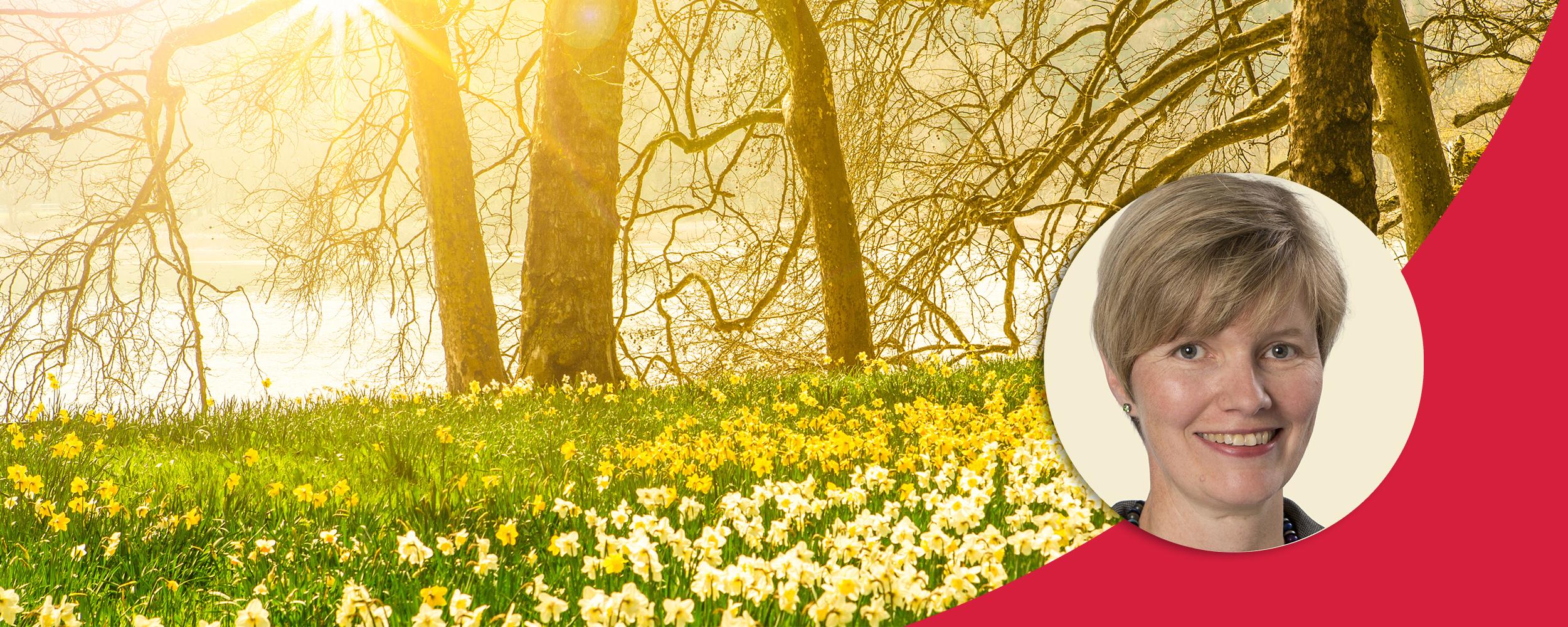 Am Ende siegt das Gute