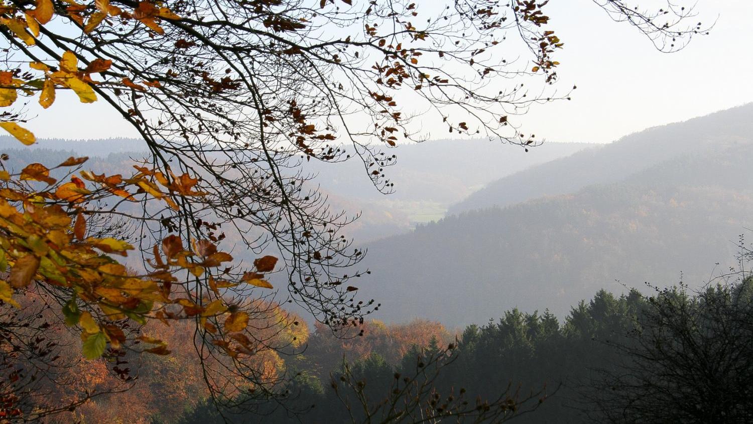 Herbstlicht