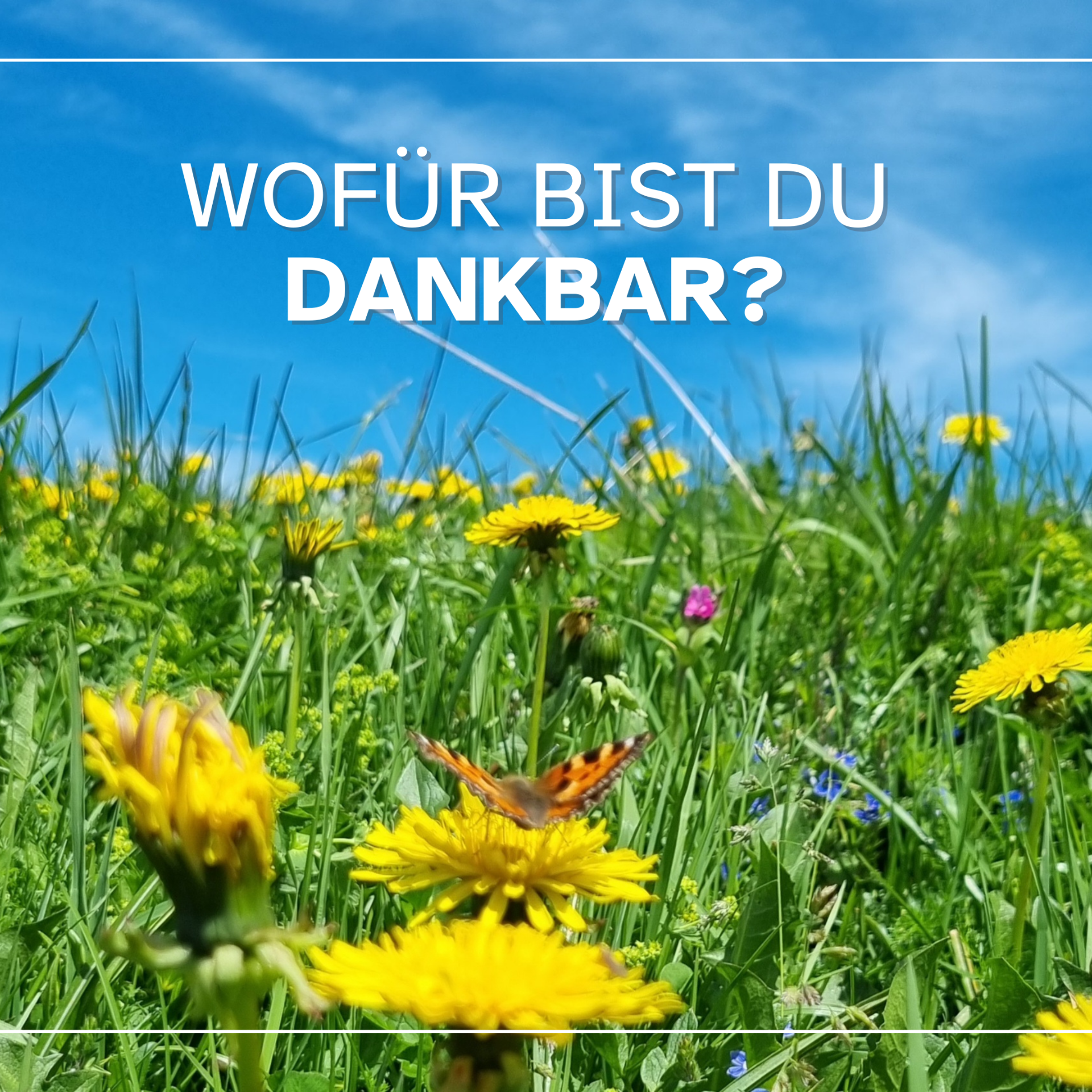 Wofür bist du dankbar
