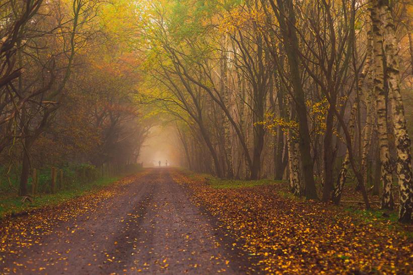 Wanderung im Herbst