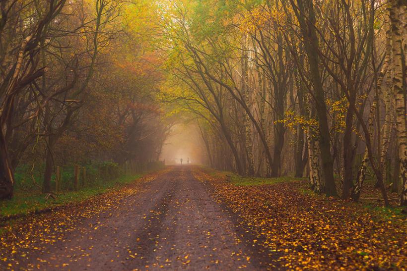 Wanderung im Herbst