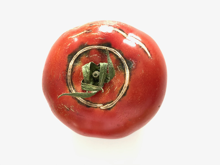 tomate (c) Bistum Mainz