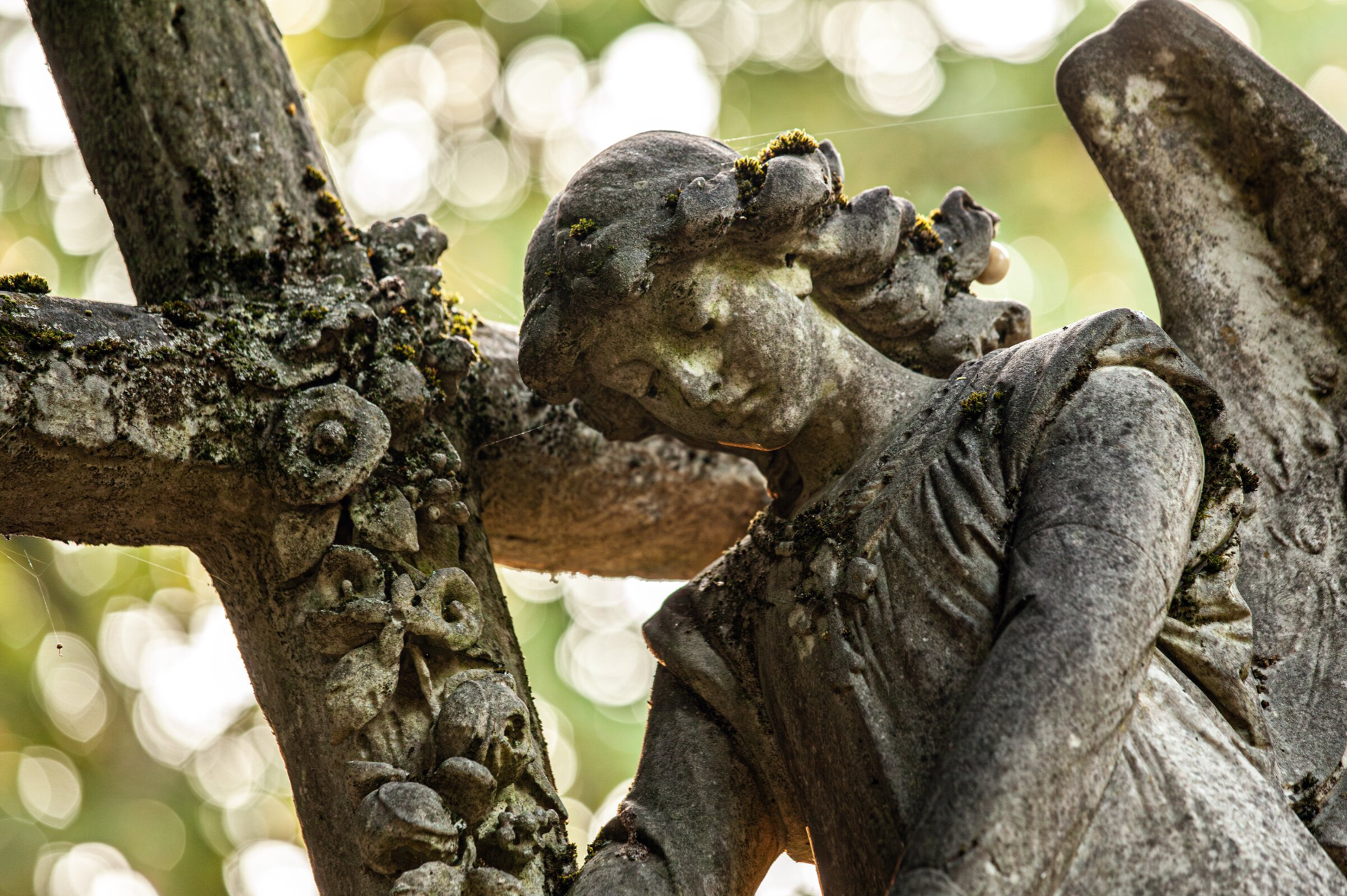 Engel Mainzer Hauptfriedhof