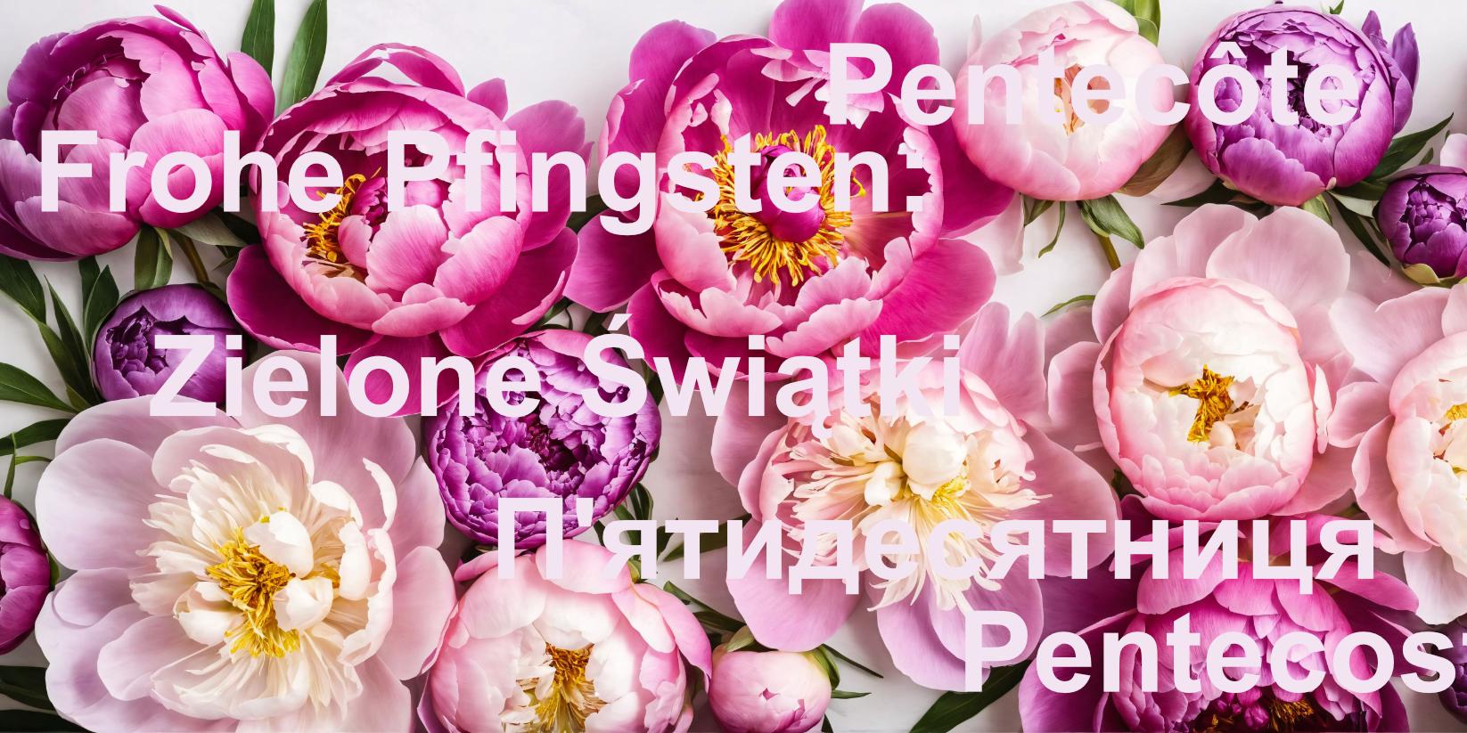 Frohe Pfingsten in Vielfalt