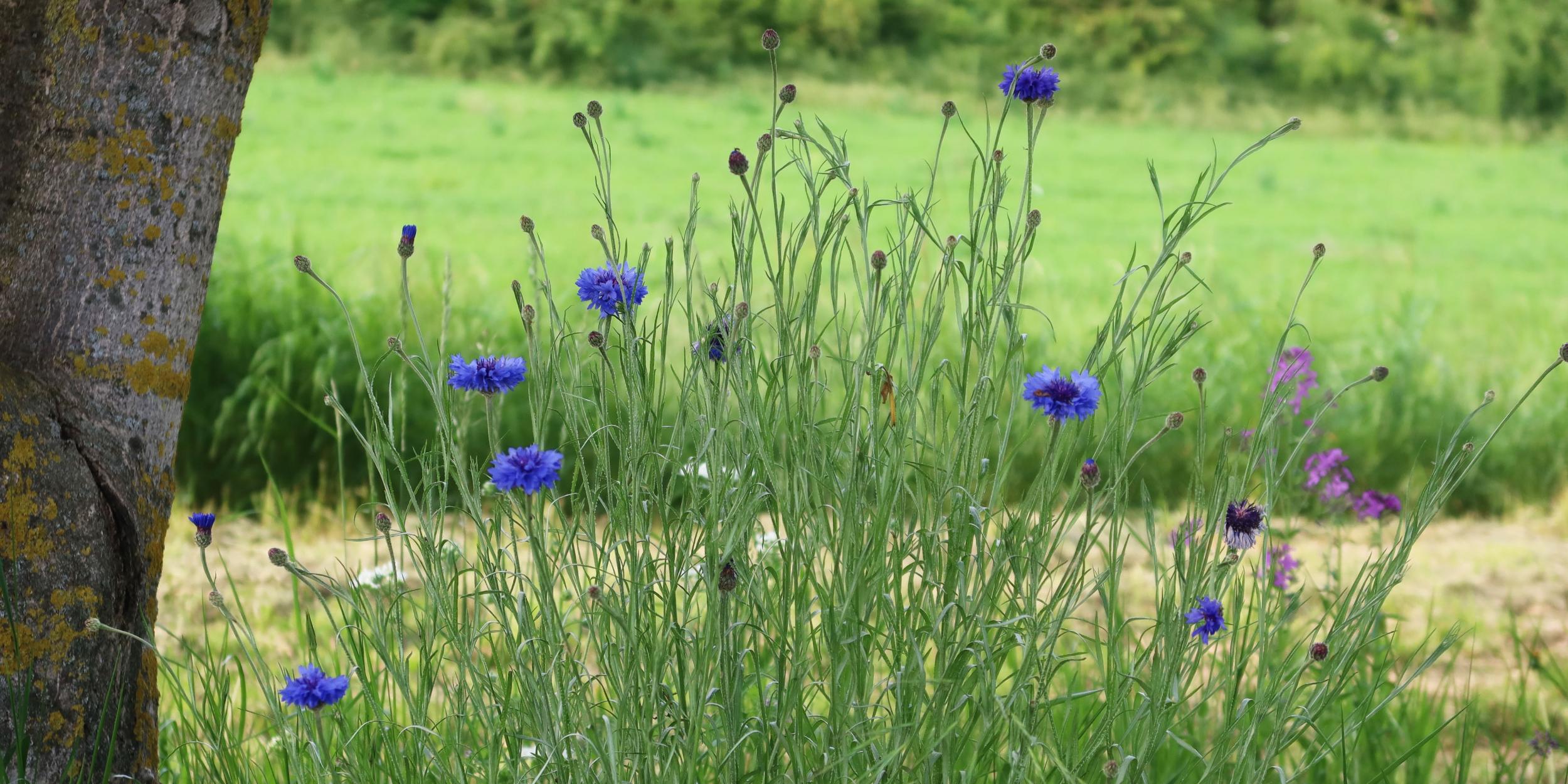 Gemeinsam unterwegs – im Glauben verbunden