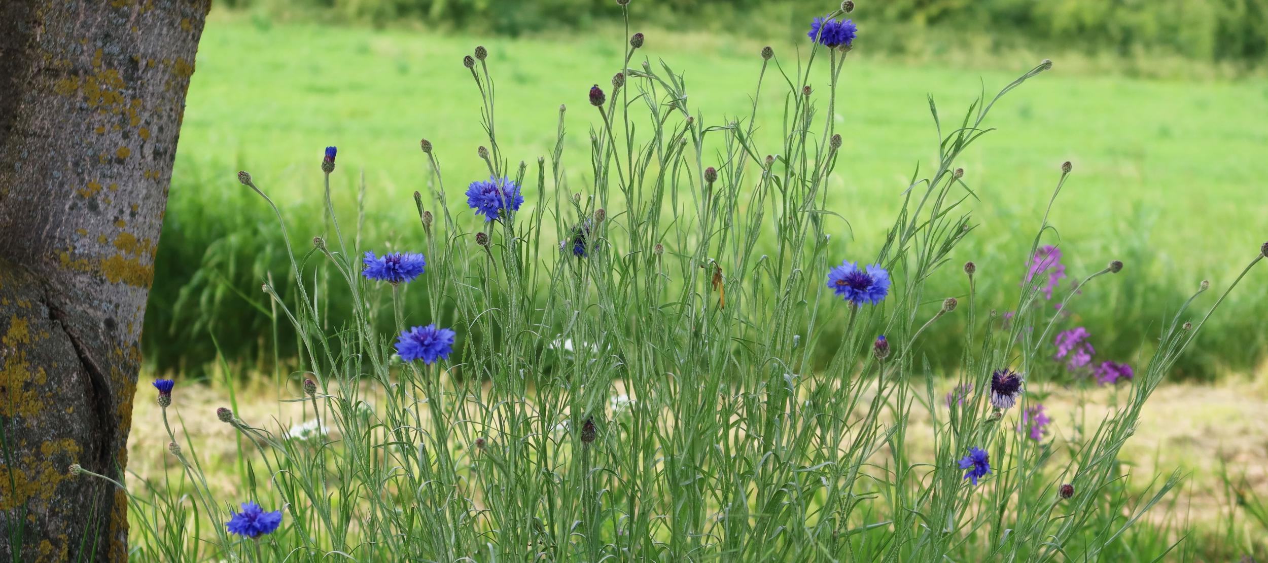 Gemeinsam unterwegs – im Glauben verbunden