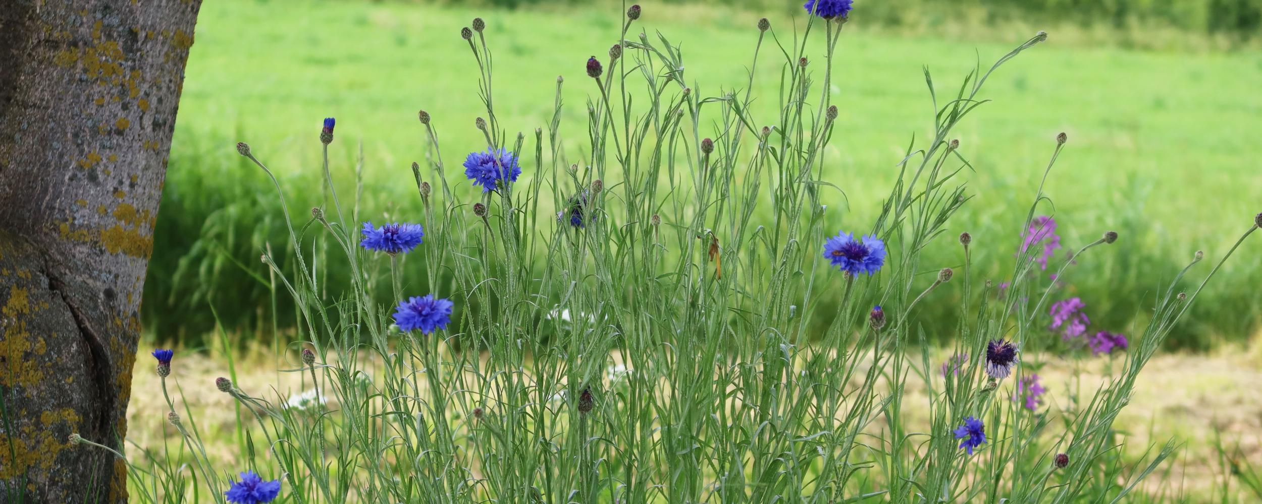 Gemeinsam unterwegs – im Glauben verbunden