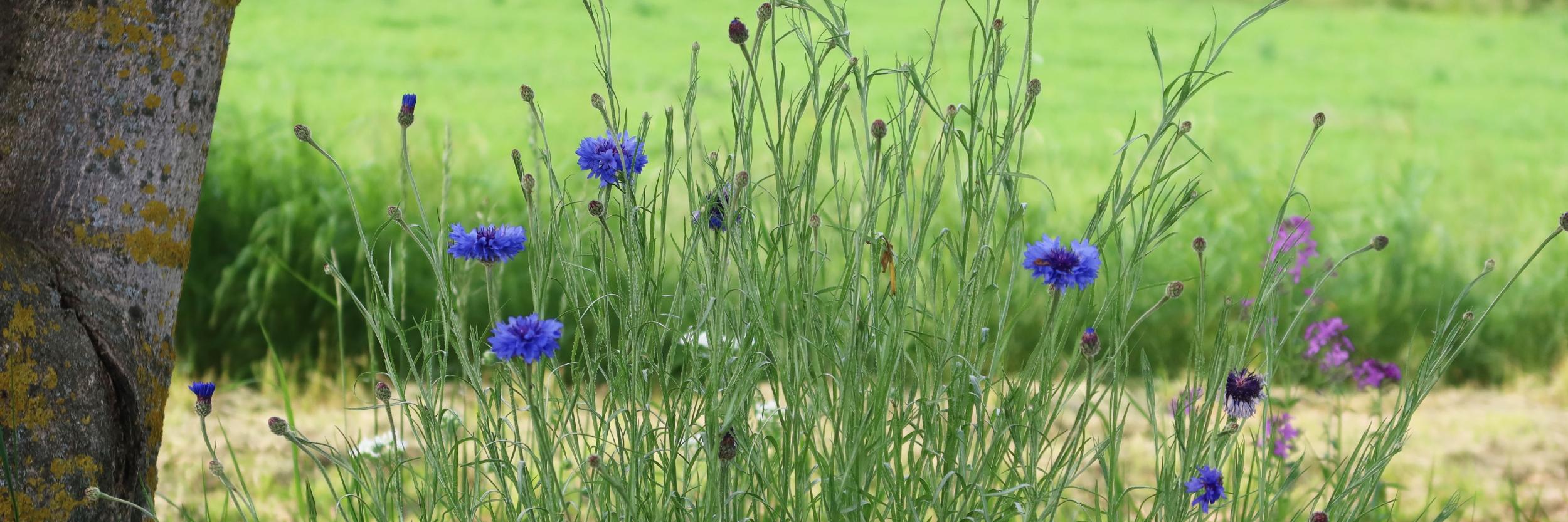 Gemeinsam unterwegs – im Glauben verbunden