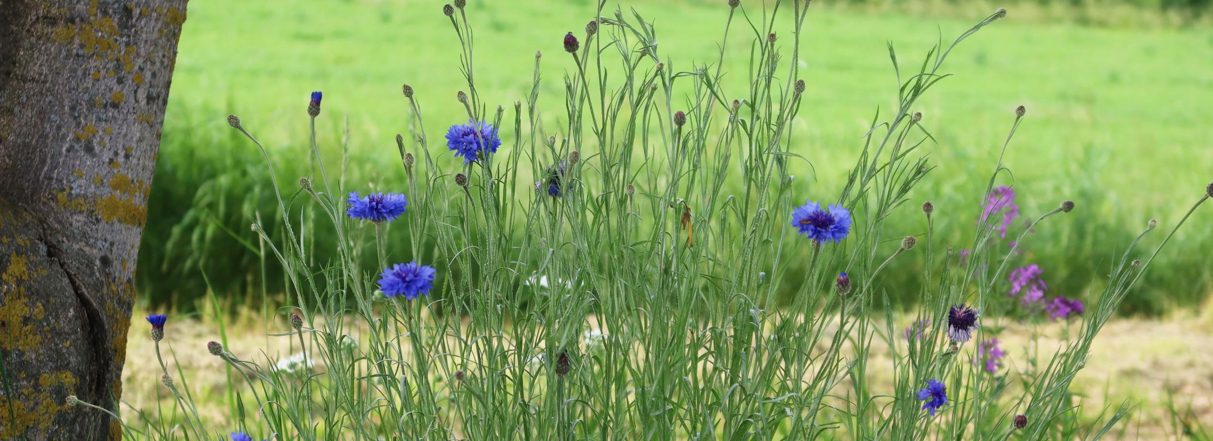 Gemeinsam unterwegs – im Glauben verbunden