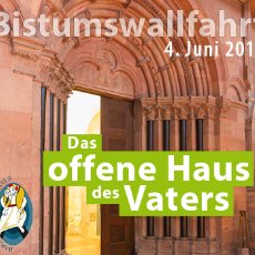 Wallfahrt zur Heiligen Pforte im Mainzer Dom am Samstag, 04. Juni 2016 (c) Bistum Mainz / Sensum