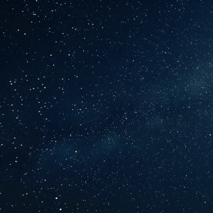 Das Heilige Jahr im Bistum Mainz