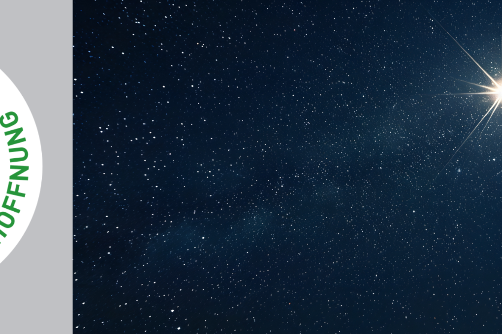 Das Heilige Jahr im Bistum Mainz