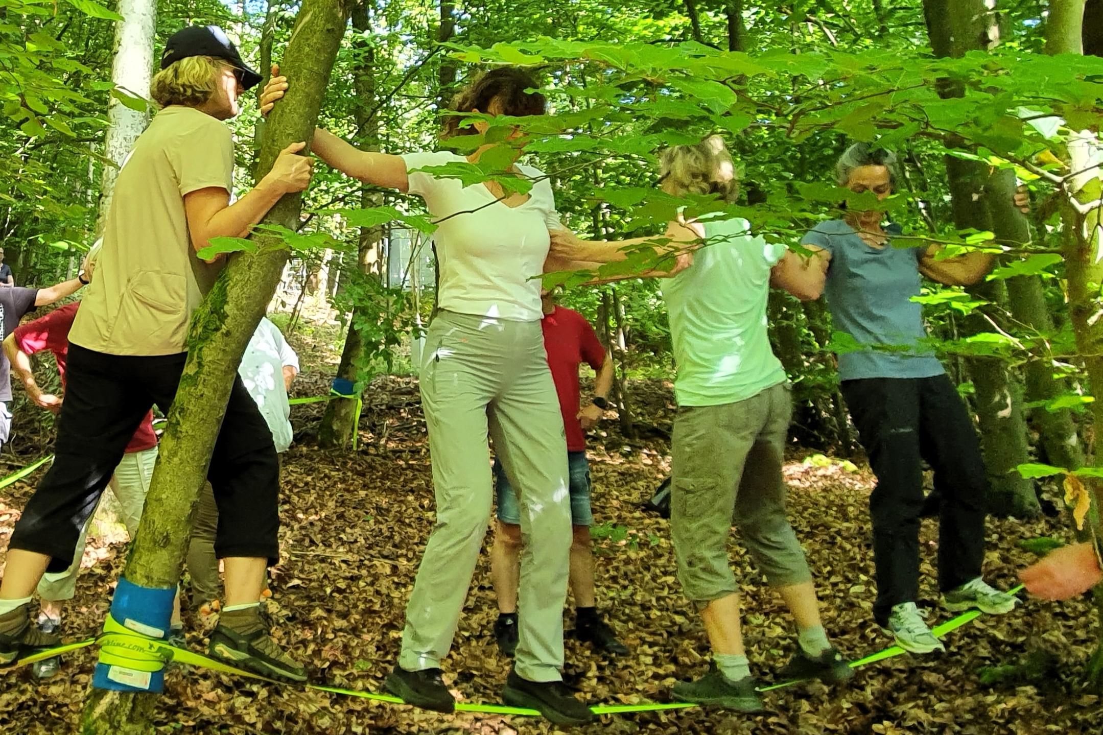 Vier Frauen balancieren auf einer Slackline zwischen Bäumen im Wald