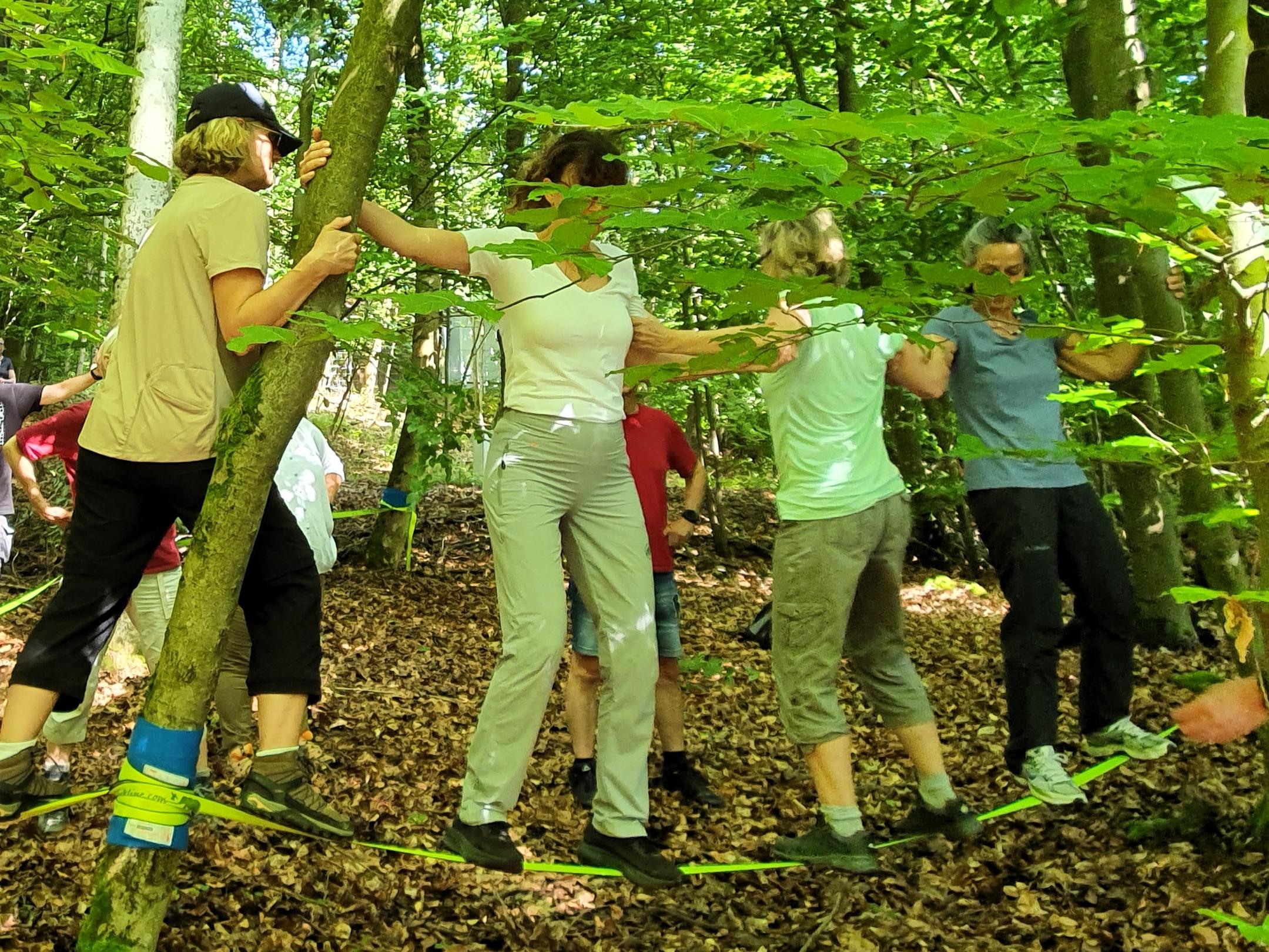 Vier Frauen balancieren auf einer Slackline zwischen Bäumen im Wald
