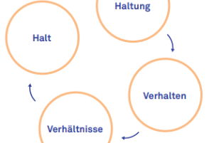 Halt_Haltung_Verhalten.PNG_373807944