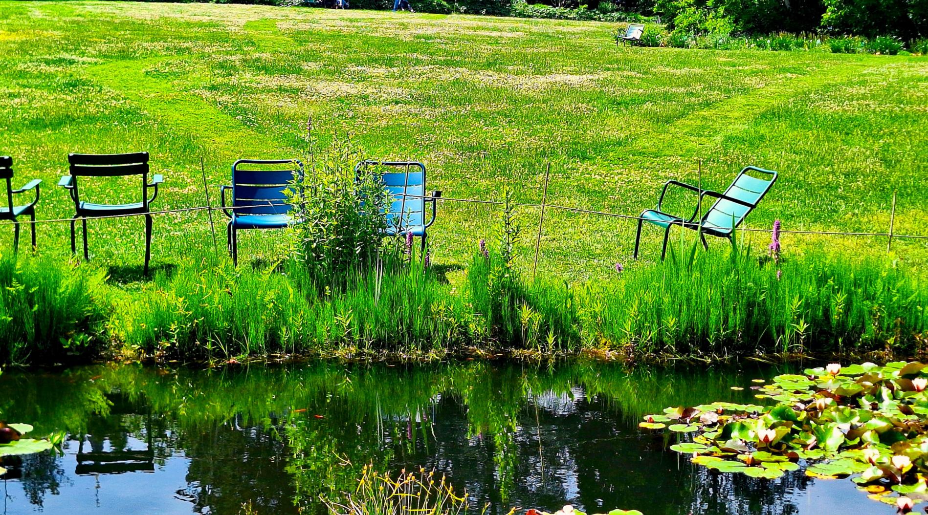 Leere Stühle auf Sommerwiese