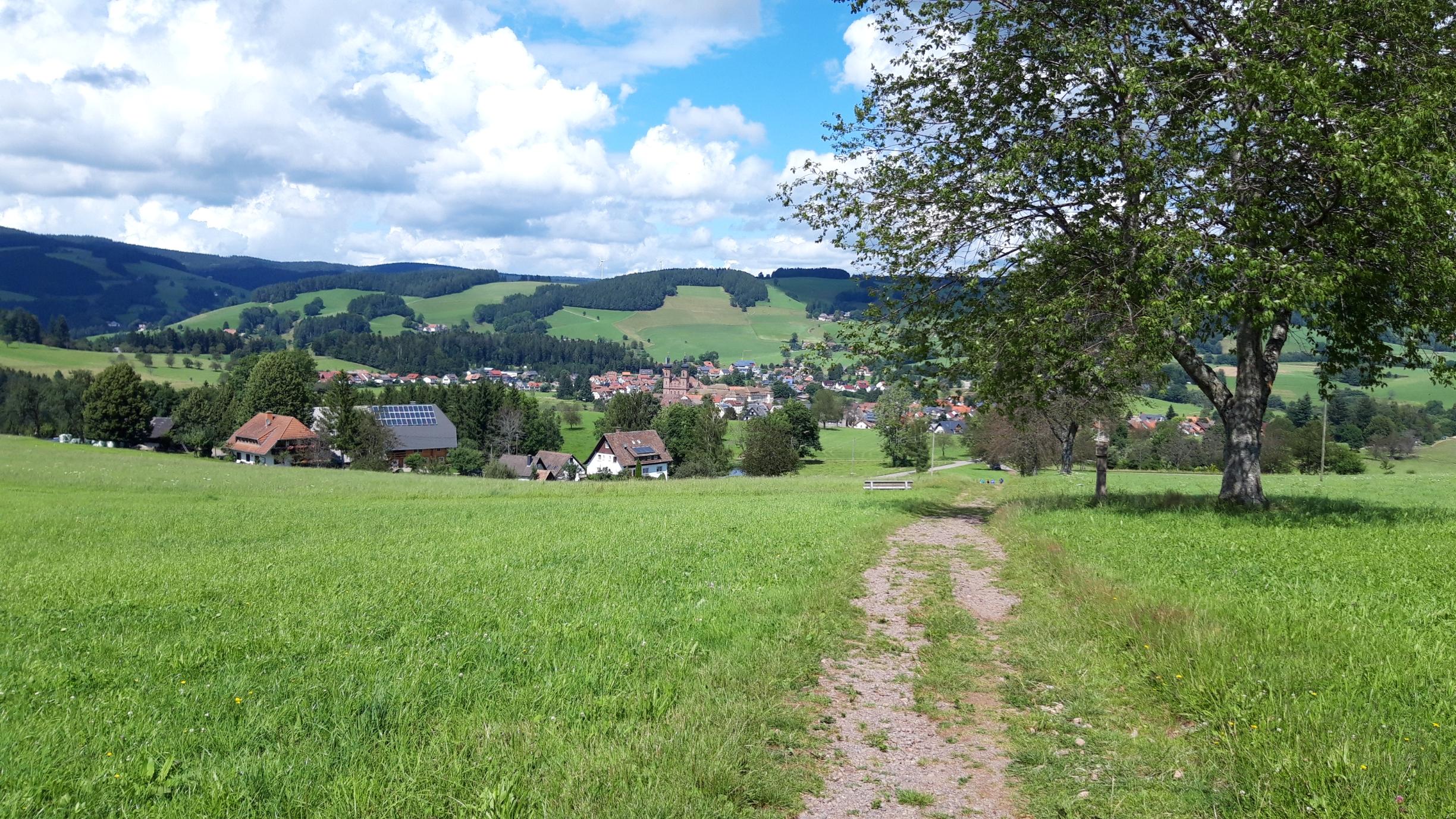 Schwarzwald bei St. Peter