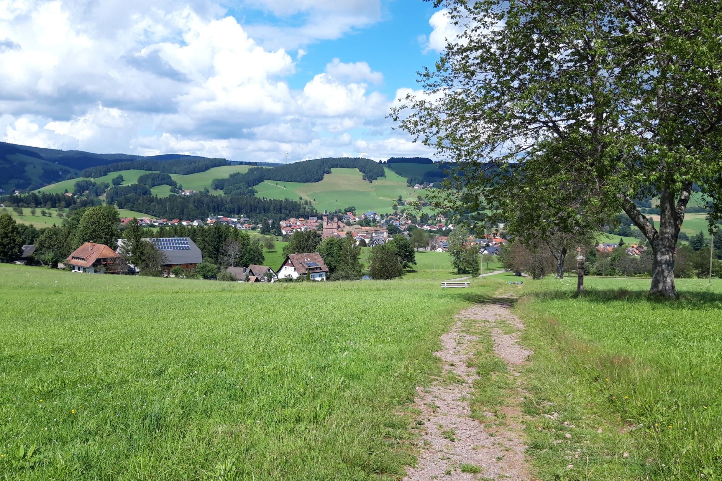 Schwarzwald bei St. Peter