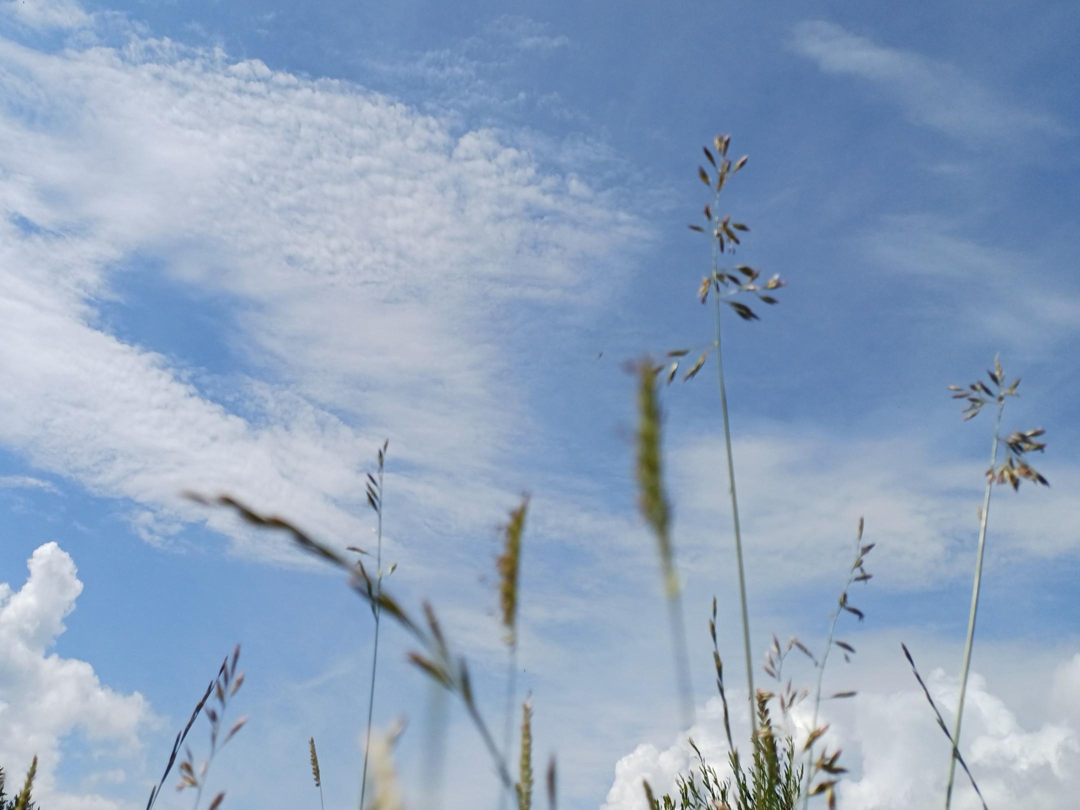 Setz deine Gedanken auf eine Wolke