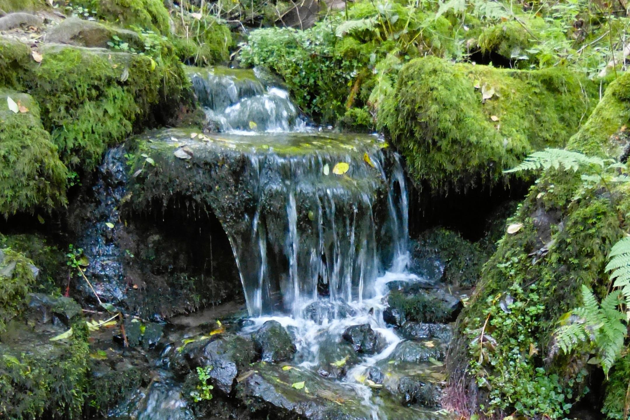 Besinnliches Plätschern - Schächerbach/Vogelsberg