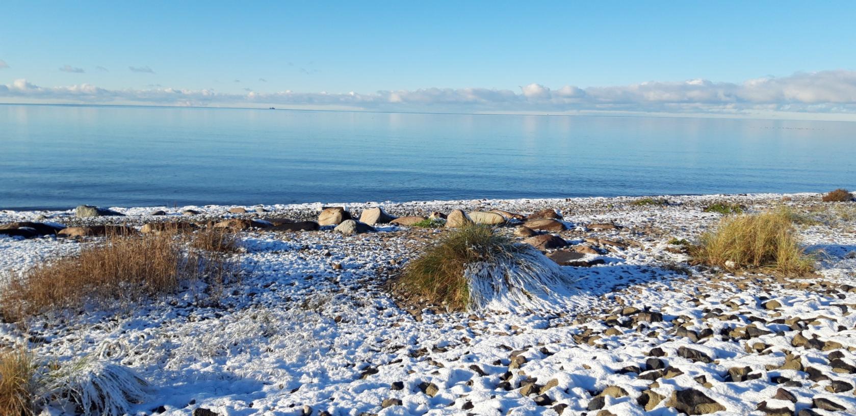 Winter - Bild Margareta Ohlemüller