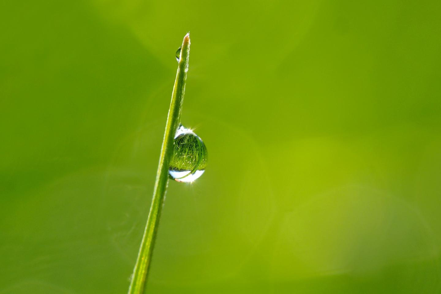 dewdrops-in-the-morning-sun-1373998_1920 kie-ker - pixabay