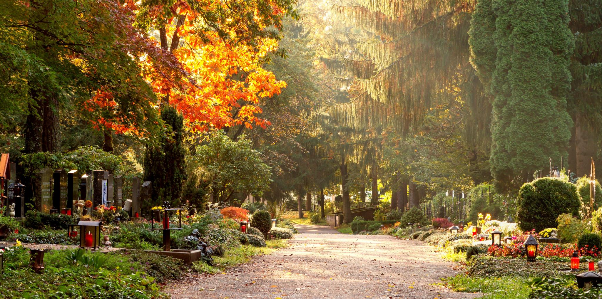 Friedhof im Herbstlicht