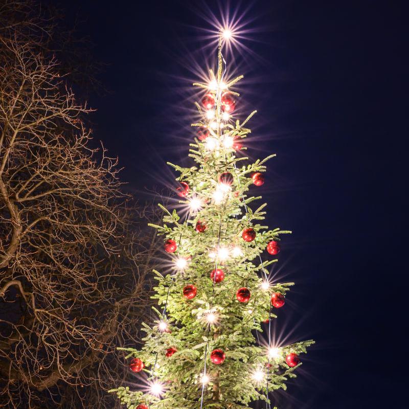 Weihnachtsbaum vor Nachthimmel
