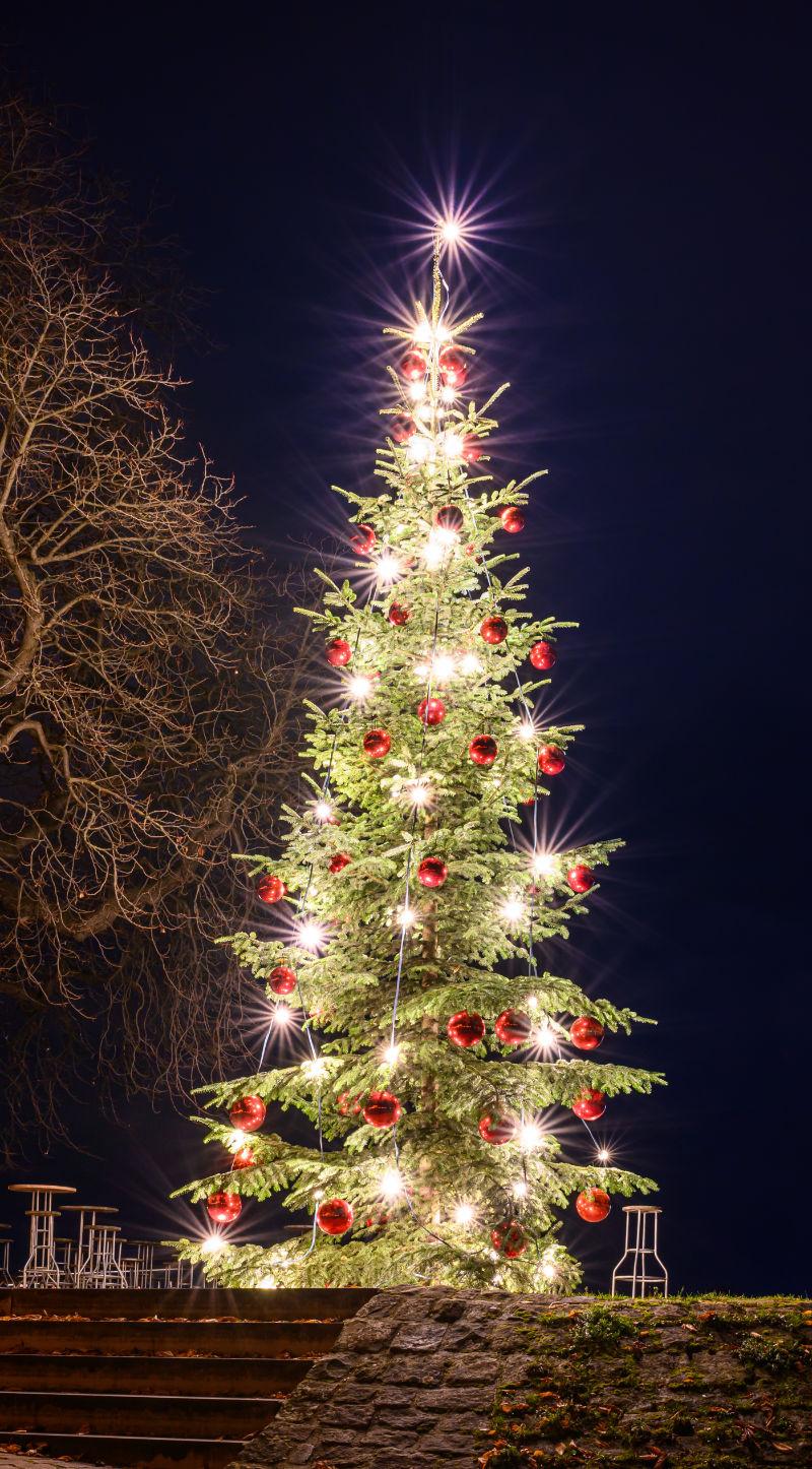 Weihnachtsbaum vor Nachthimmel