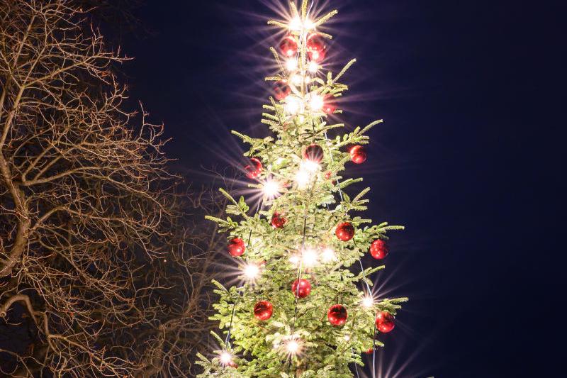 Weihnachtsbaum vor Nachthimmel