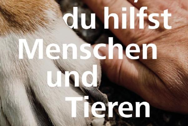 Umschlag der Gottesdiensthilfe zum Ökumenischen Tag der Schöpfung 2025