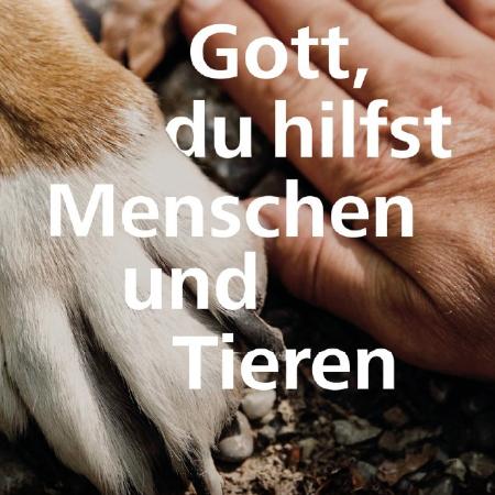 Umschlag der Gottesdiensthilfe zum Ökumenischen Tag der Schöpfung 2025