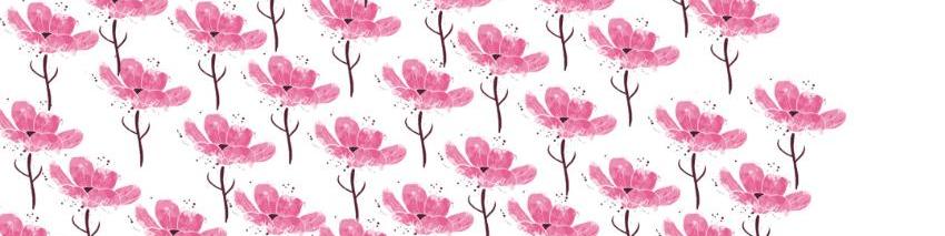 Rosa Blumen
