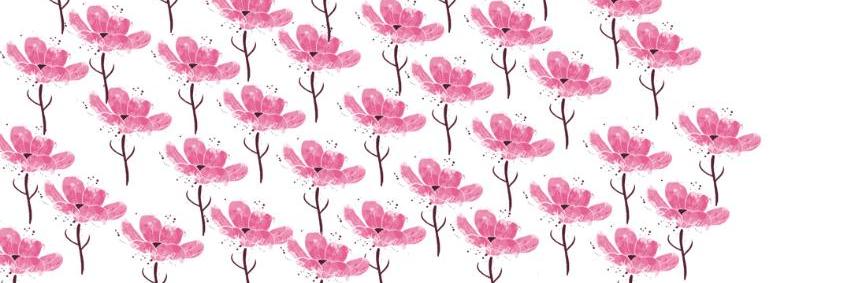 Rosa Blumen