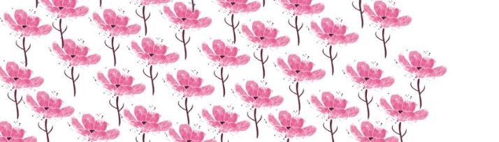 Rosa Blumen
