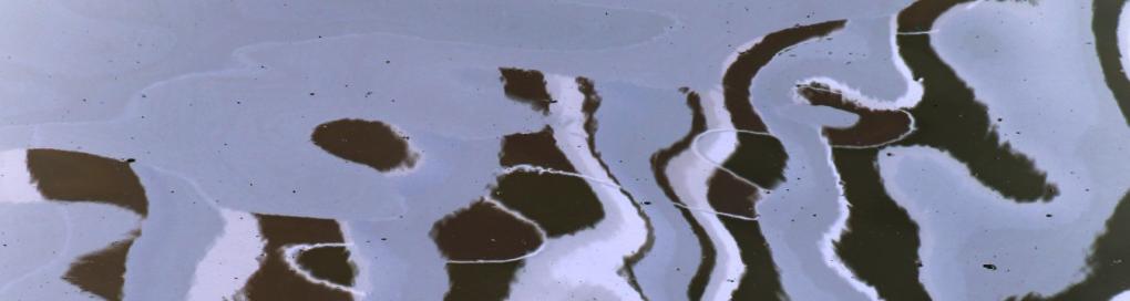 Wort-Gottes-Feiern in der Karmeliterkirche Mainz