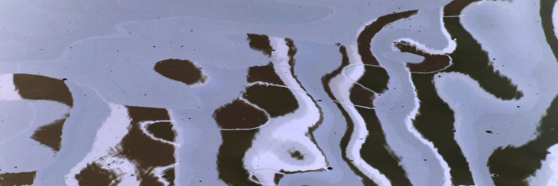 Wort-Gottes-Feiern in der Karmeliterkirche Mainz