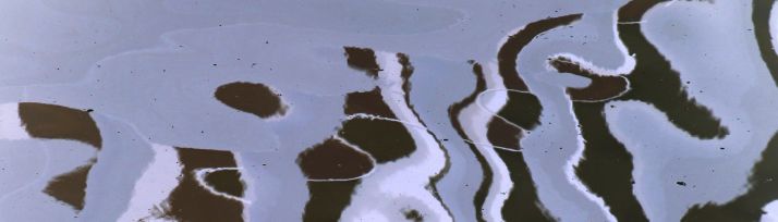 Wort-Gottes-Feiern in der Karmeliterkirche Mainz