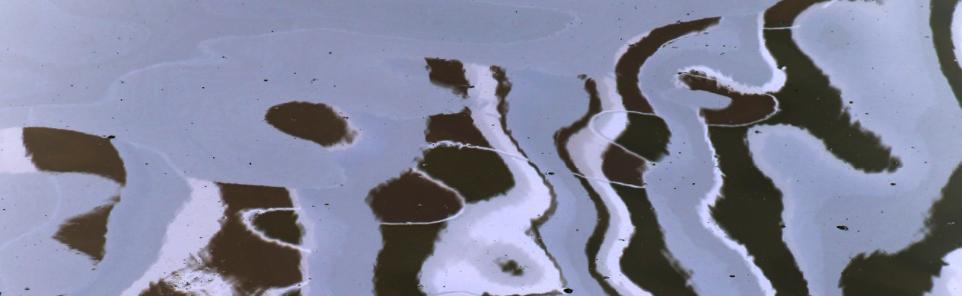 Wort-Gottes-Feiern in der Karmeliterkirche Mainz