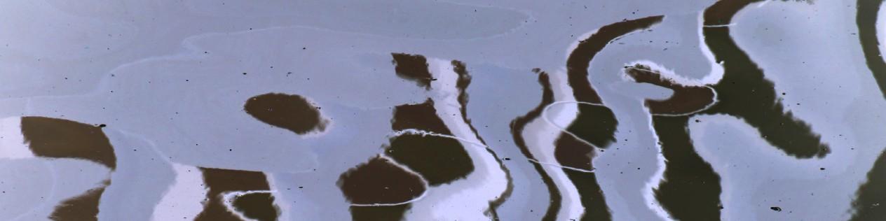 Wort-Gottes-Feiern in der Karmeliterkirche Mainz