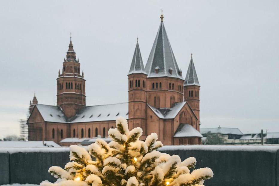 Ausblick Dom Schnee